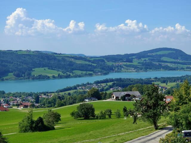 Wunderschoene Ferienwohnung Mit Seeblick ツェル・アム・モース エクステリア 写真
